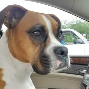 Meet your Posher, Kellee